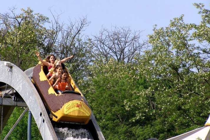 A log flume, originally bought for £145,000, had a starting price of £25,000