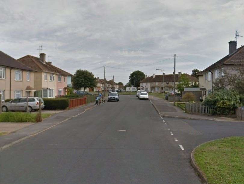 Athol Road, where the attempted dog snatching took place yesterday afternoon