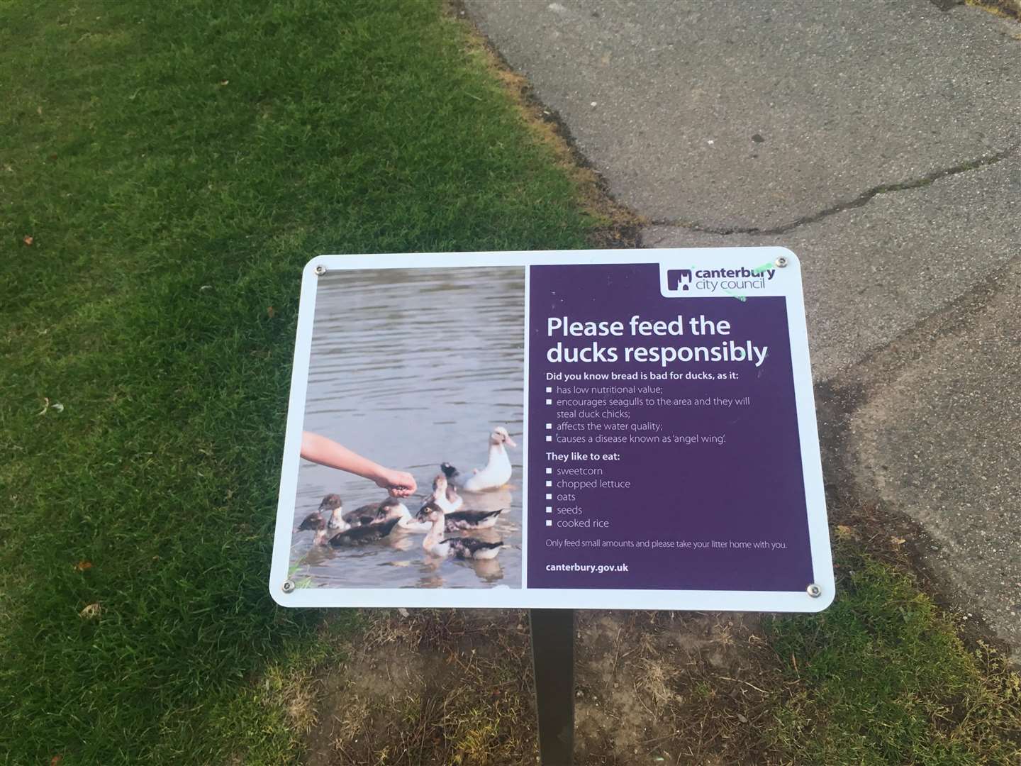 One of the signs dotted around the pond telling visitors not to feed the ducks bread (4704888)