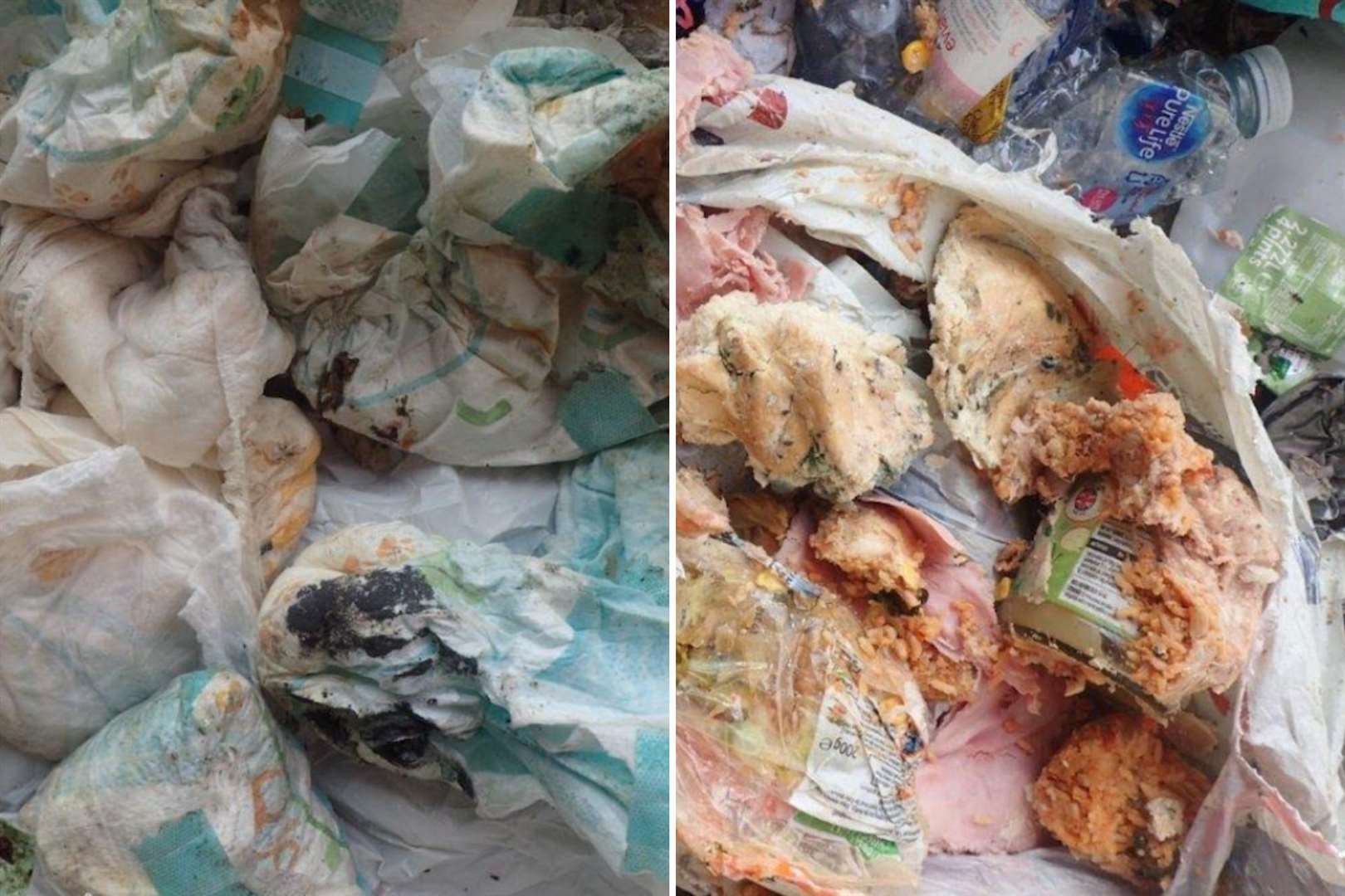 Food and dirty nappies have been found in recycling bins