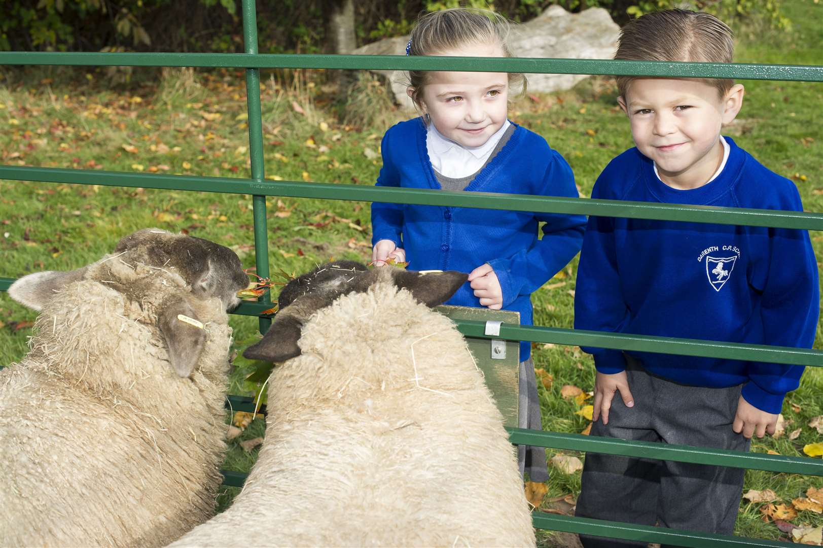 Indiana, left, and William, both six, during farming week at Darenth Community Primary School