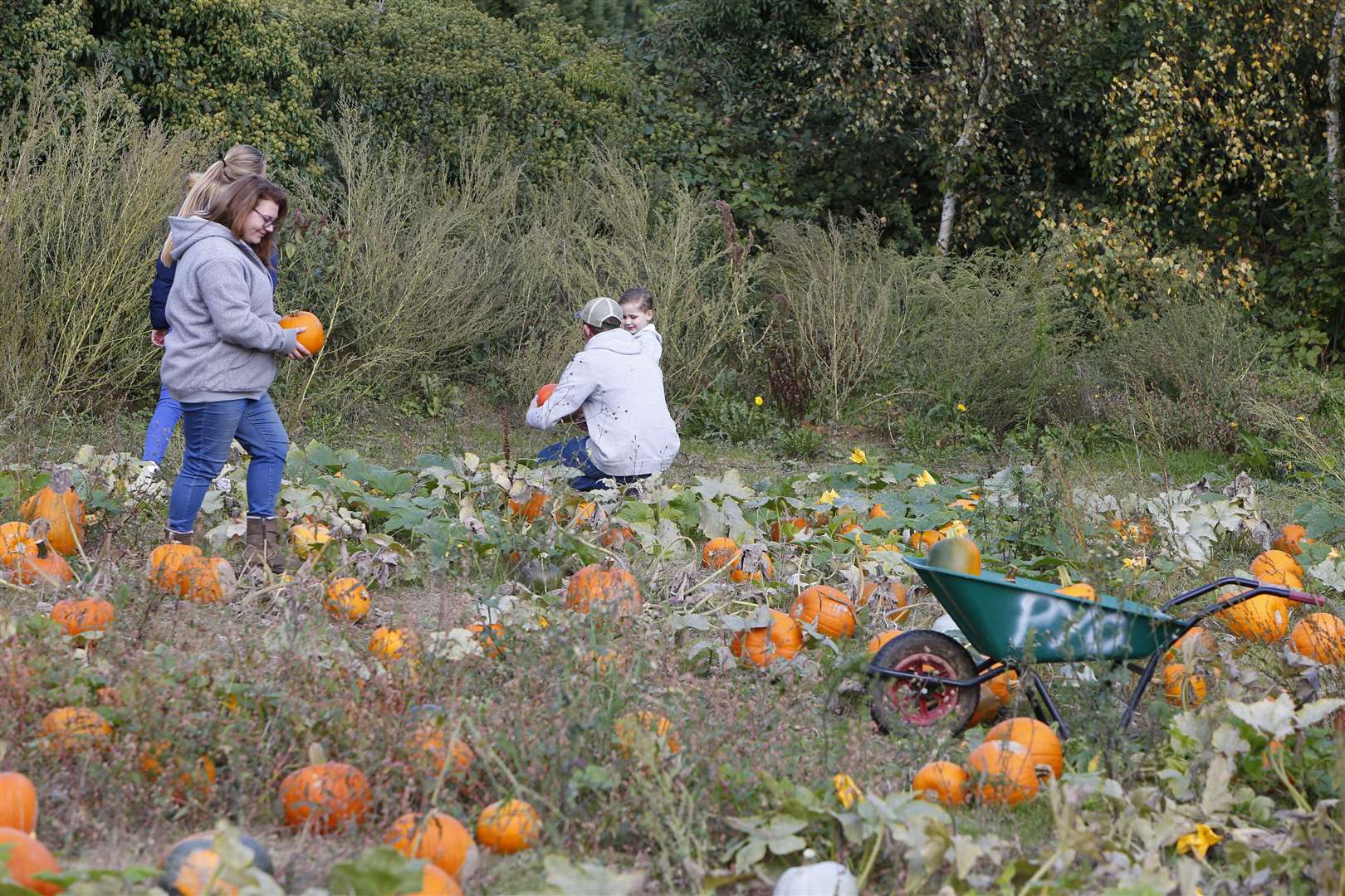 Milebush Farm is known for its year-round fruit picking. Picture: Andy Jones