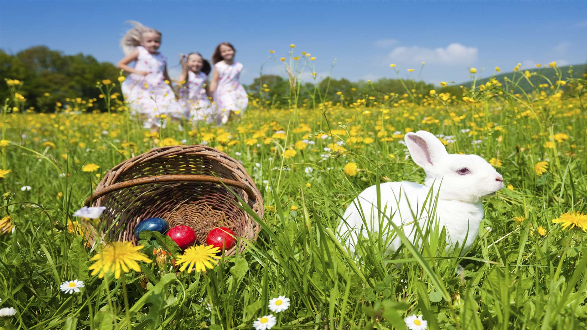 Catch up with the Easter bunny at one of the many events taking place all across Kent