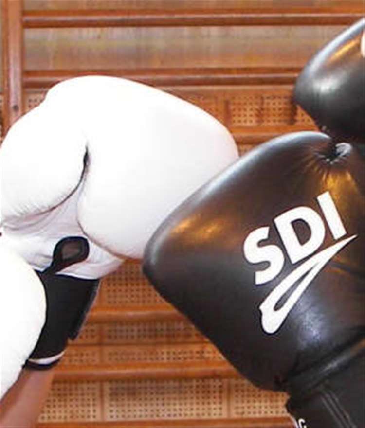 gants boxe sdi training