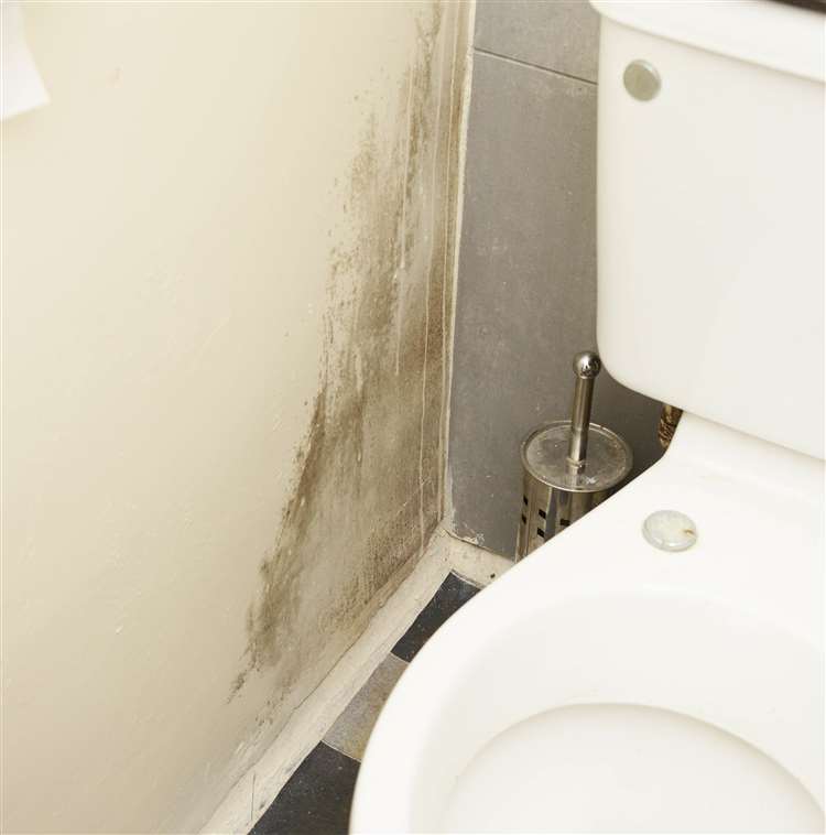 Whitstable Sydney Road.Jackie Chambers has damp problems with her property.Damp in the Bathroom.Picture: Paul Amos. (7833395)