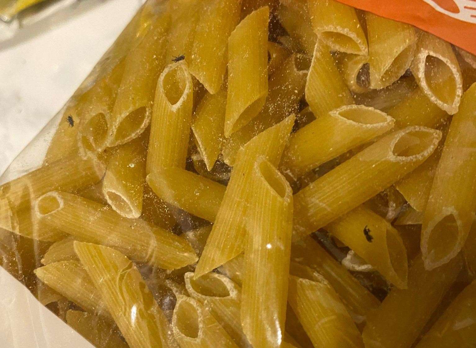 The bugs on the Aldi pasta which was brought from the supermarket's Sheerness store