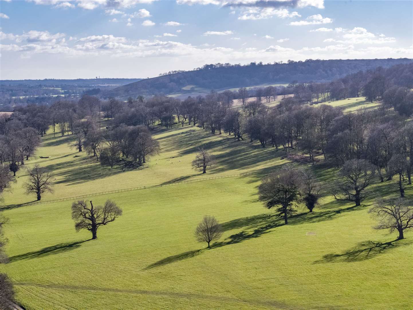 The castle features a large expanse of historic parkland. Picture: Knight Frank