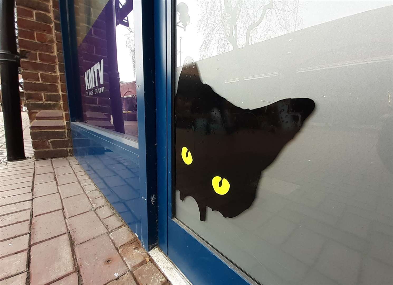 The black cat was spotted at the Kentish Express office this morning (28836132)