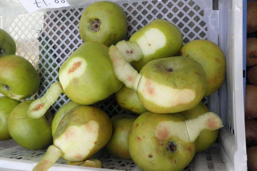 Bramley apples with visible rot and bruises were on display at Garden of England.