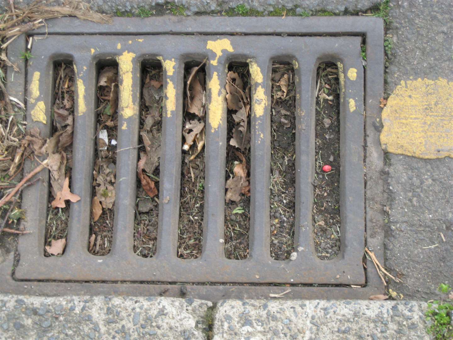 An example of one of the many blocked drains around Canterbury
