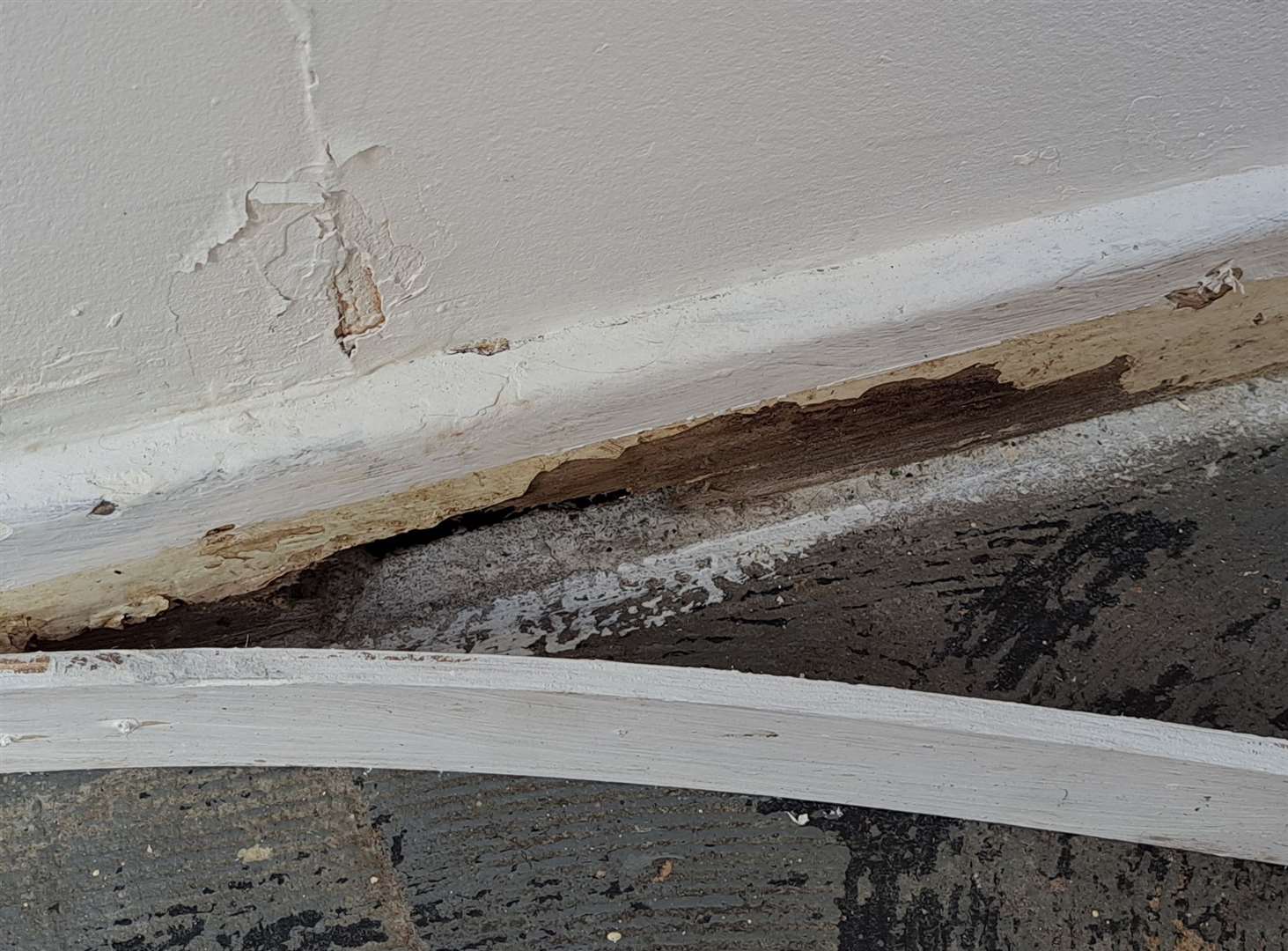Rats have gnawed a large hole in Miss Heywood’s skirting board