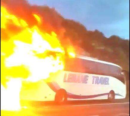 A coach alight on the M2. Credit: Holly Anderson