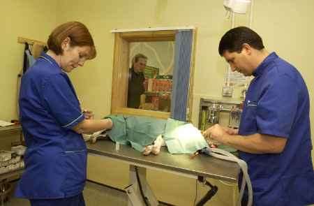 Vet Ryk Botes and veterinary nurse Shelley Thorne at work in the new surgery