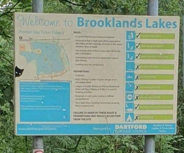 Brooklands Lakes, Dartford. Picture: Animals Lost and Found (12639296)