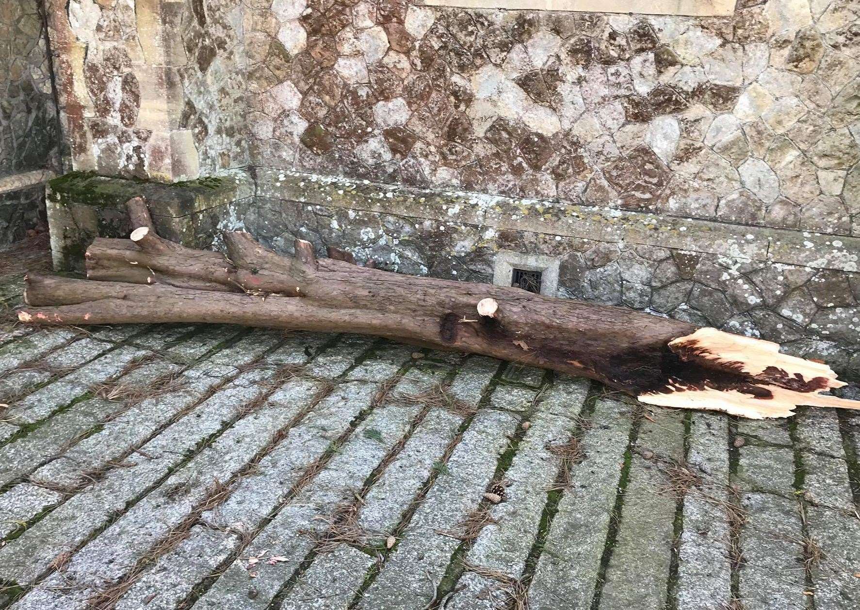 High winds caused a branch to fall from a tree in the church yard (7664548)