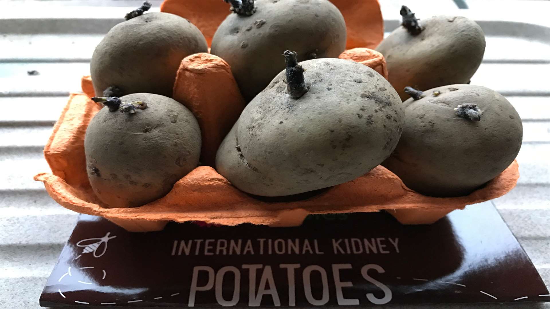 Potatoes for planting