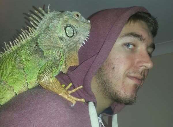 Greg Reeves, who has kept reptiles for nearly 10 years