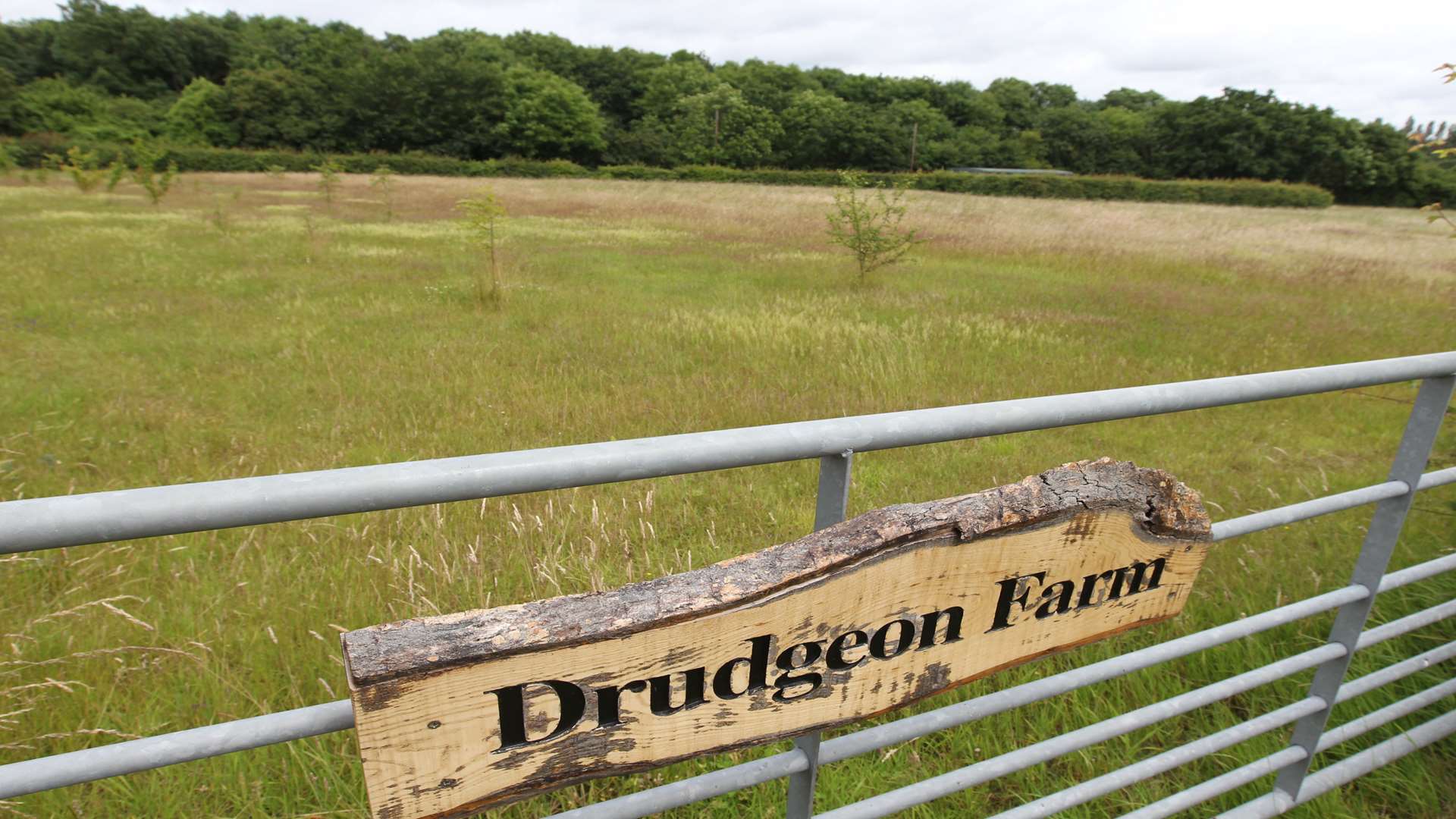 A plot of land at Drudgeon Farm, is subject to a planning application to turn into a permanent site for travellers in Bean, Dartford.