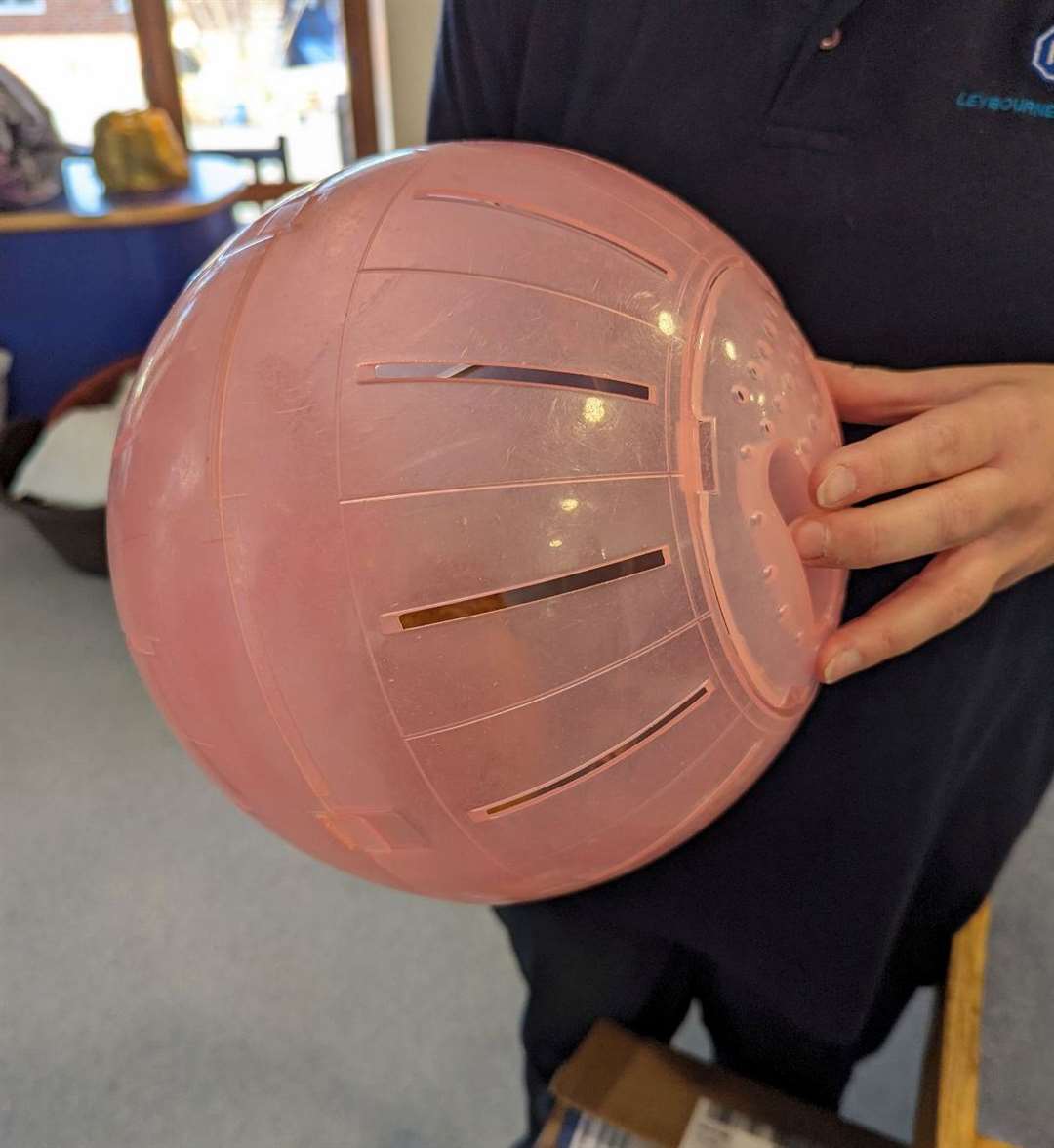 The ginger hamster was locked inside the pink exercise ball. Picture: RSPCA