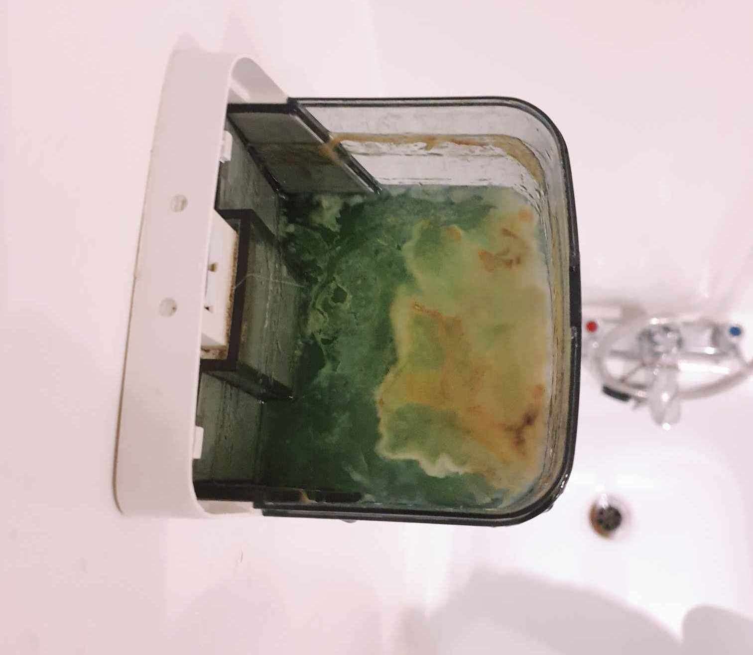 Ben Brookland was horrified to discover mould in a shampoo dispenser at the Grand Burstin, Folkestone