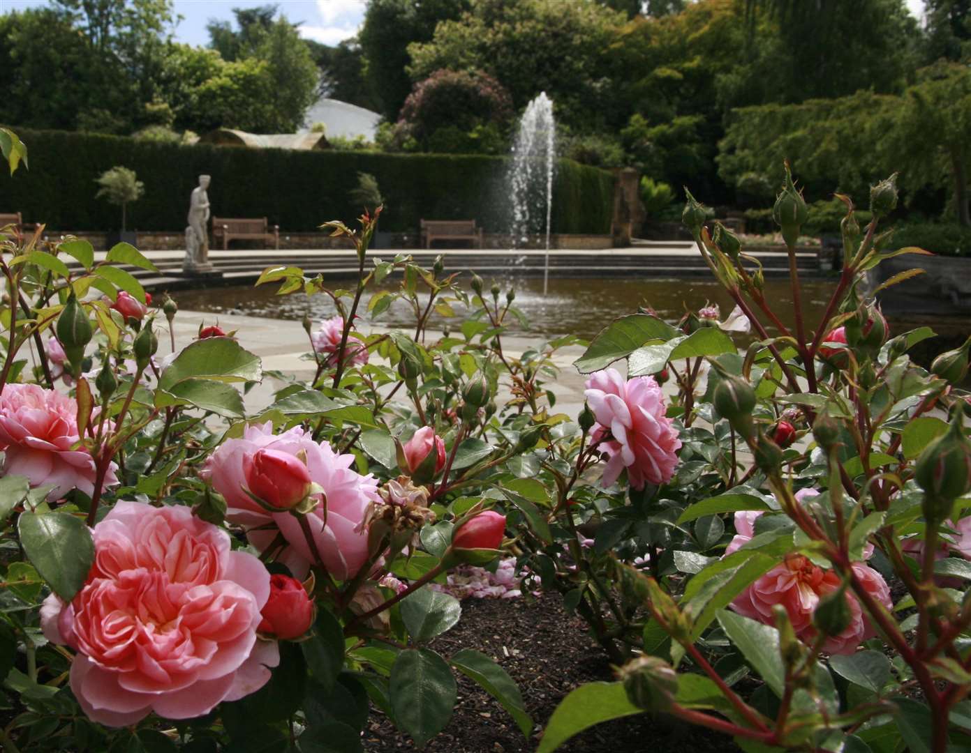 Explore the gardens during Hever In Bloom