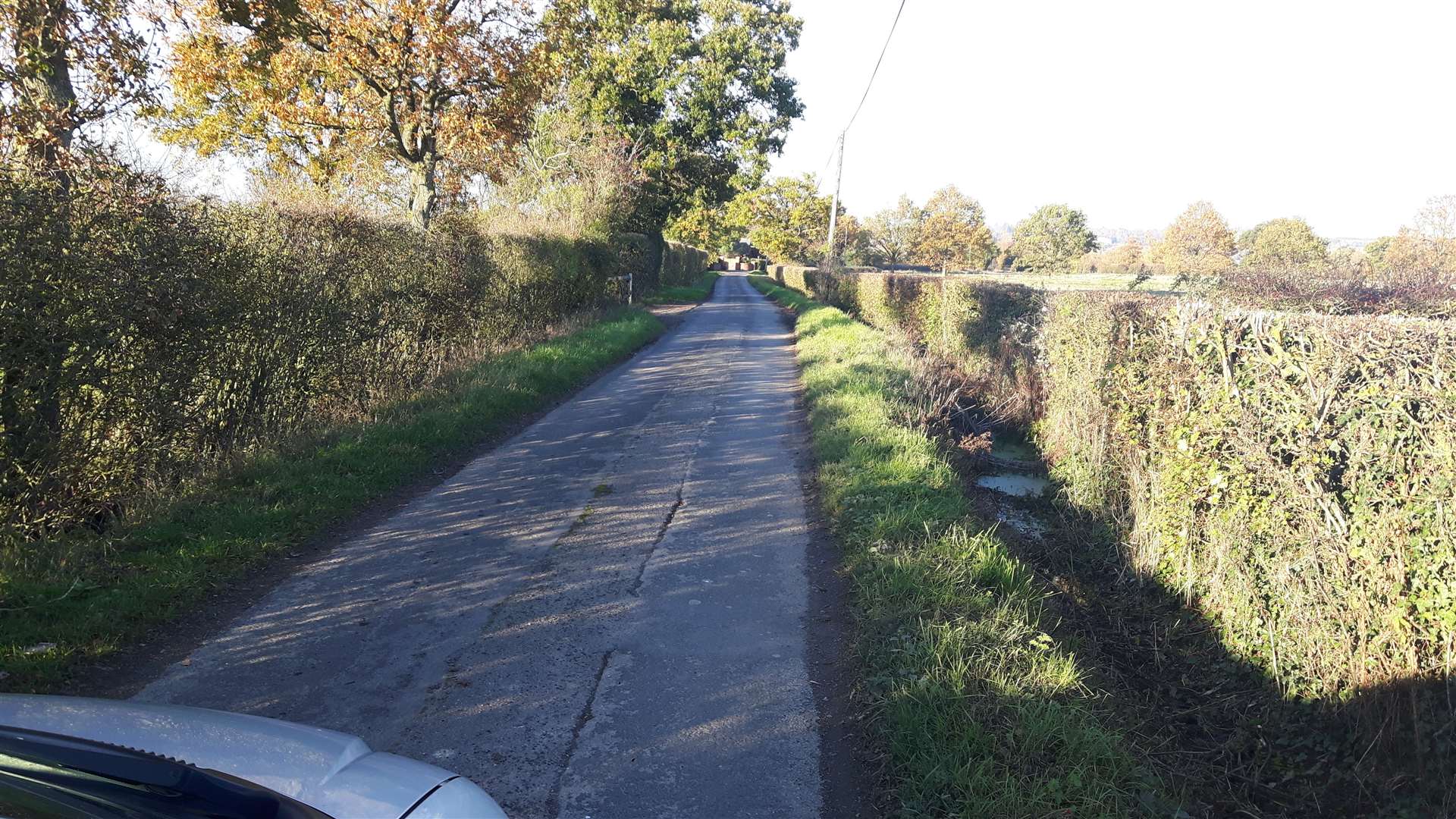 Stilebridge Lane is a single track road with a bordering ditch