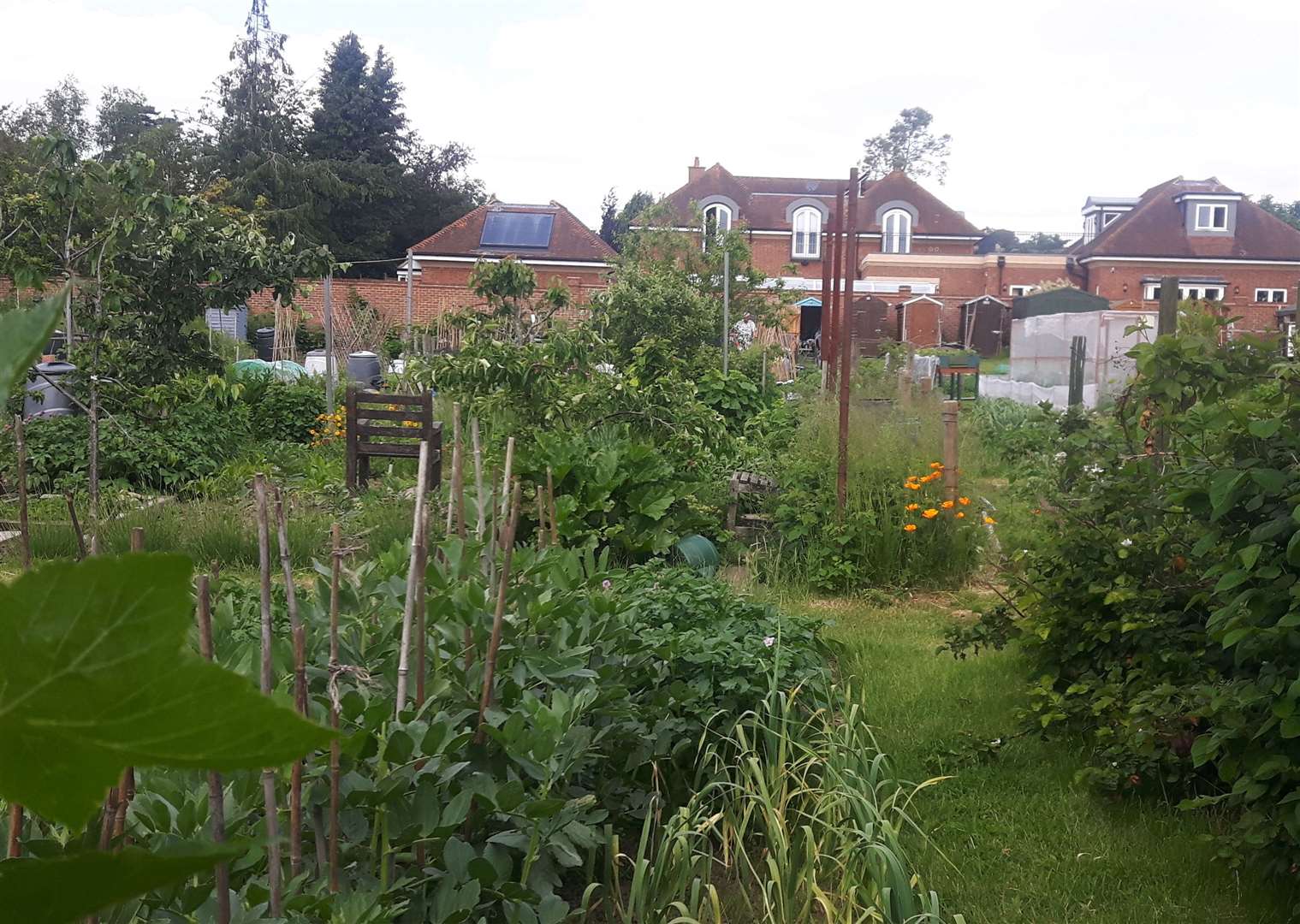 The Church Landway allotment site