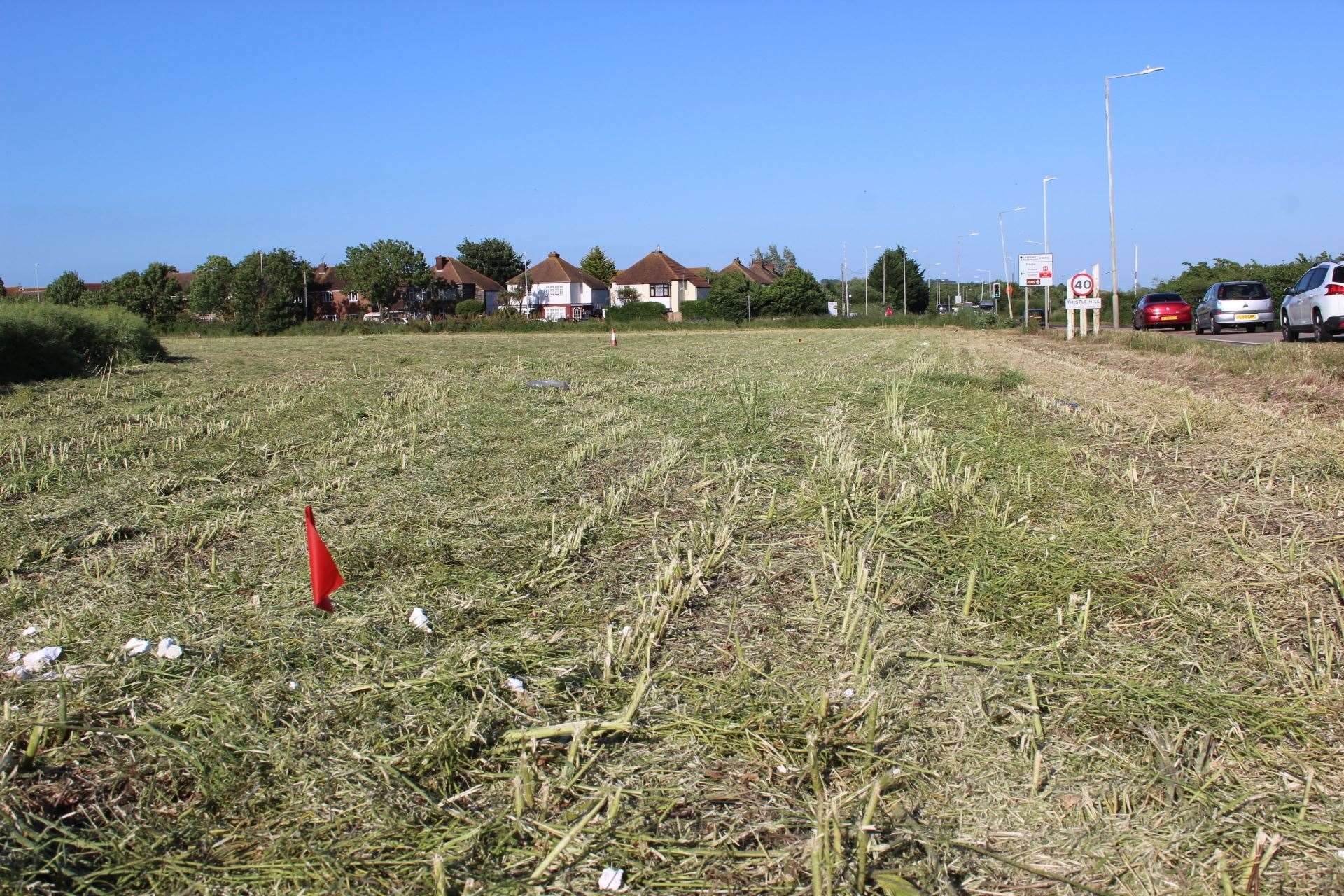 The homes had been proposed for this field along the Lower Road