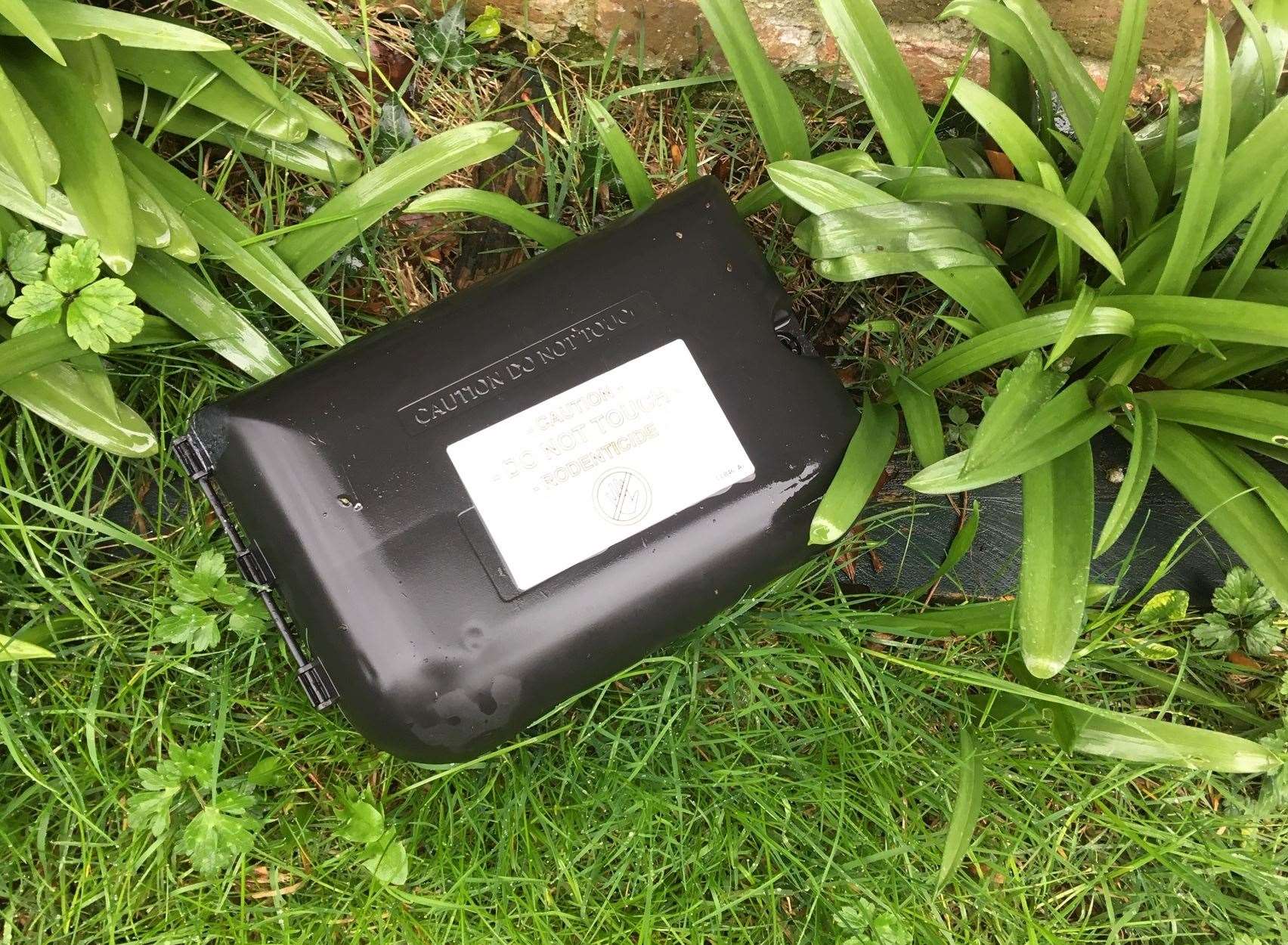 A rat trap laid by the council