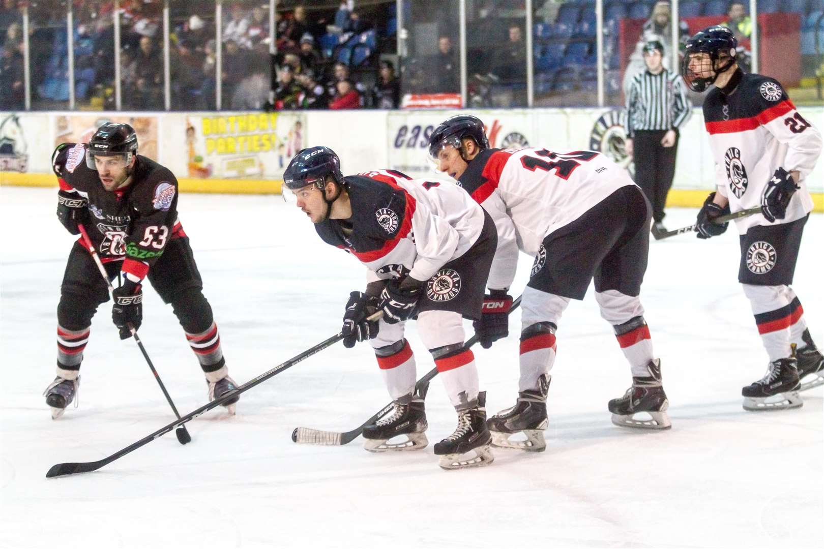 Invicta Dynamos faced Basingstoke Bison in the NIHL Division 1 South play-offs in March. Picture: David Trevallion