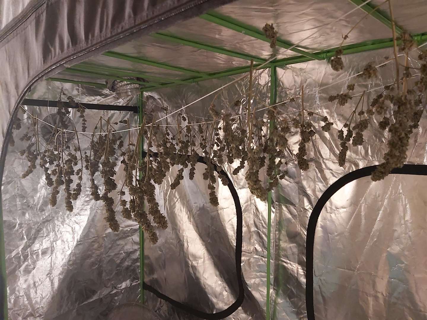 A cannabis farm was discovered in Ramsgate. Picture: Kent Police