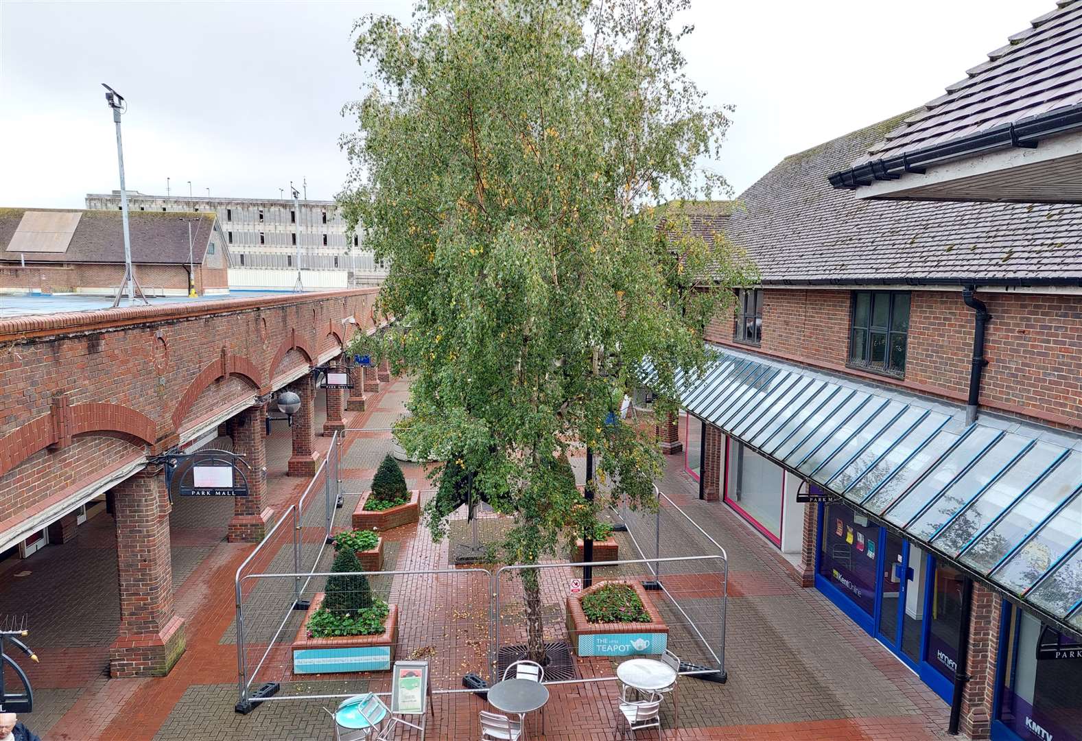 The trees at Park Mall shopping centre in Ashford are being felled for health and safety reasons