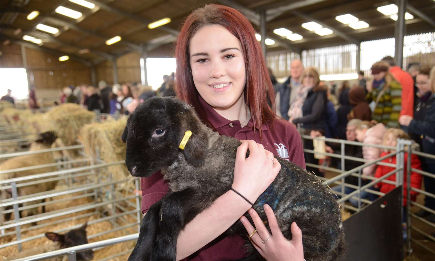 Ally Sweeney - a Level 2a Agricultural student at Hadlow College - helps out during last year's Lambing Weekend. Picture: Gary Browne (7654001)