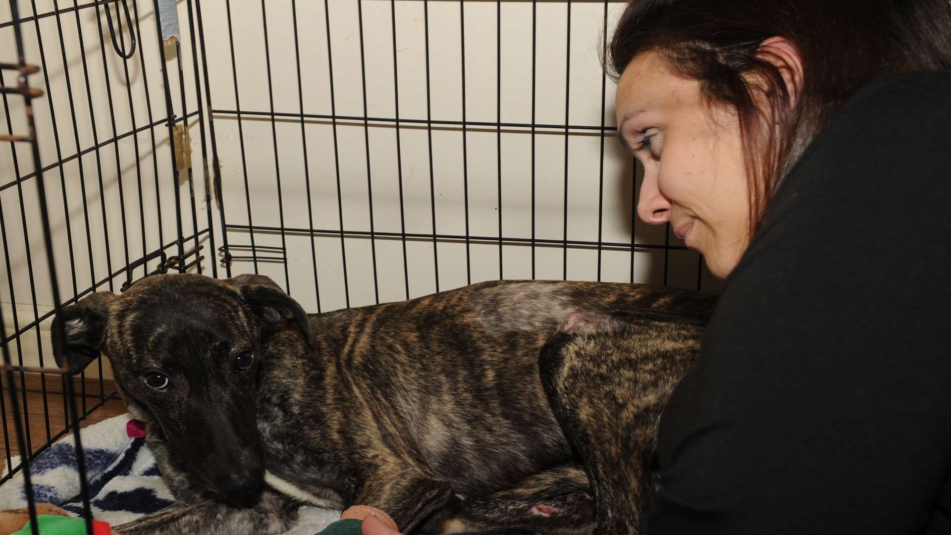 Kate Walton has adopted injured dog called Belle