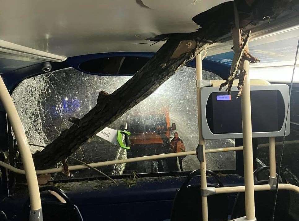 It went through the window and into the roof of the bus. Picture: Mick Gould Commercials Ltd