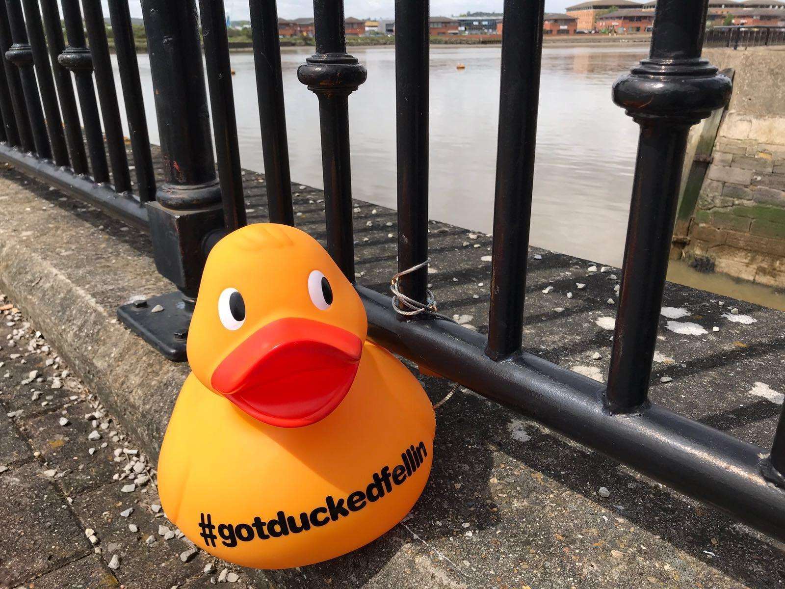 Giant ducks will be springing up across the county as part of the campaign (1720233)