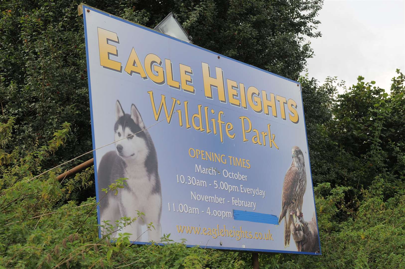 Eagle Heights, Eynsford. Picture: Steve Crispe