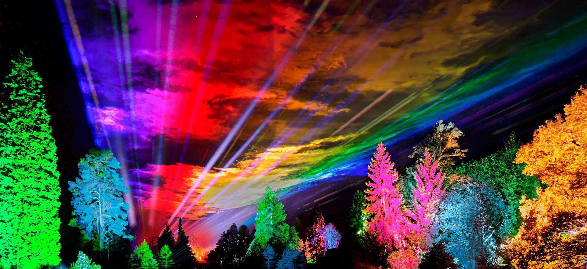 The popular light trails will return to Bedgebury and Leeds Castle this year. Picture: We Are Destination