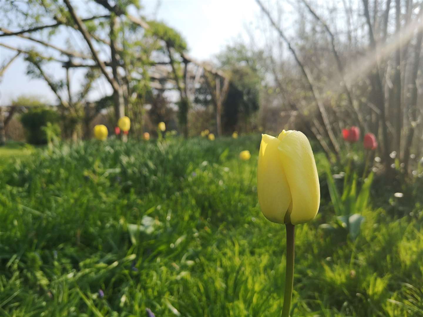 Follow the Easter trail through the Penshurst Place gardens. Picture: Penshurst Place