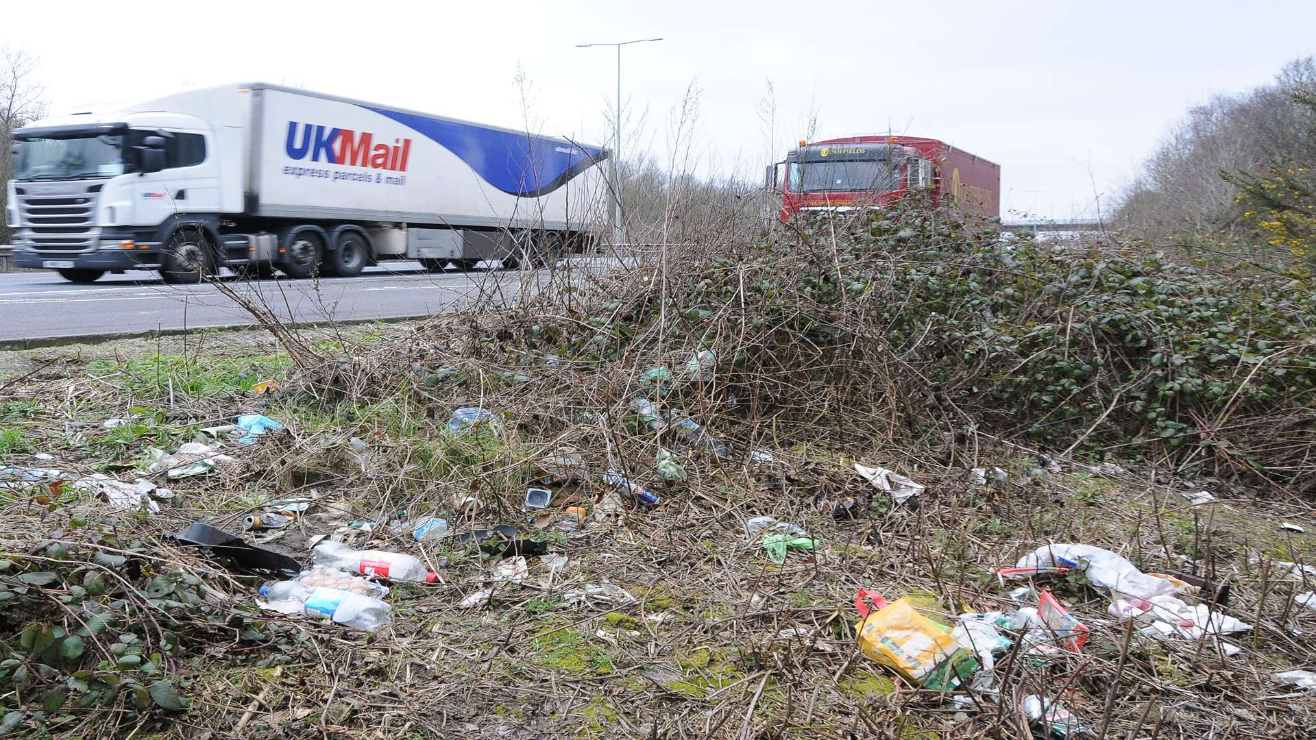 Rubbish in verges along the A2 and Thanet Way give a bad impression of the UK, says a Tory councillor