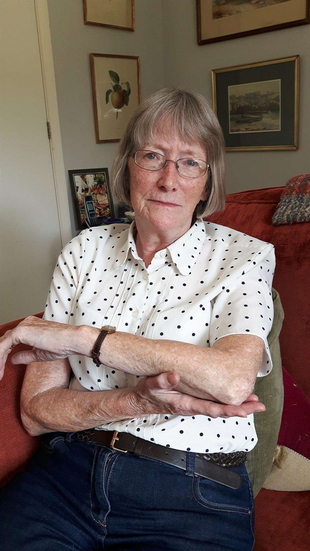 Joan Wright, 82, needed an elbow replacement after the fall in 2016 (2642828)