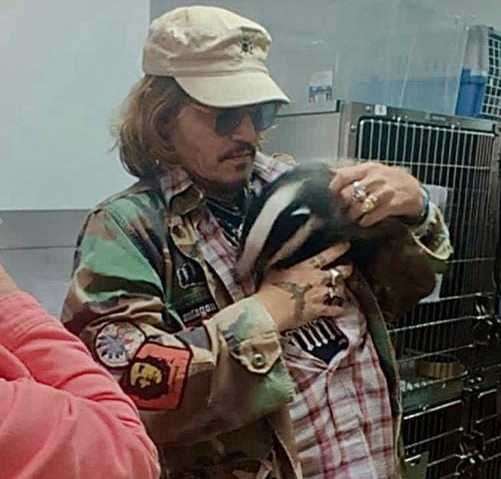 Johnny Depp visited Folly Wildlife Rescue in Tunbridge Wells a day after lawsuit win. Picture: Folly Wildlife Rescue / Facebook