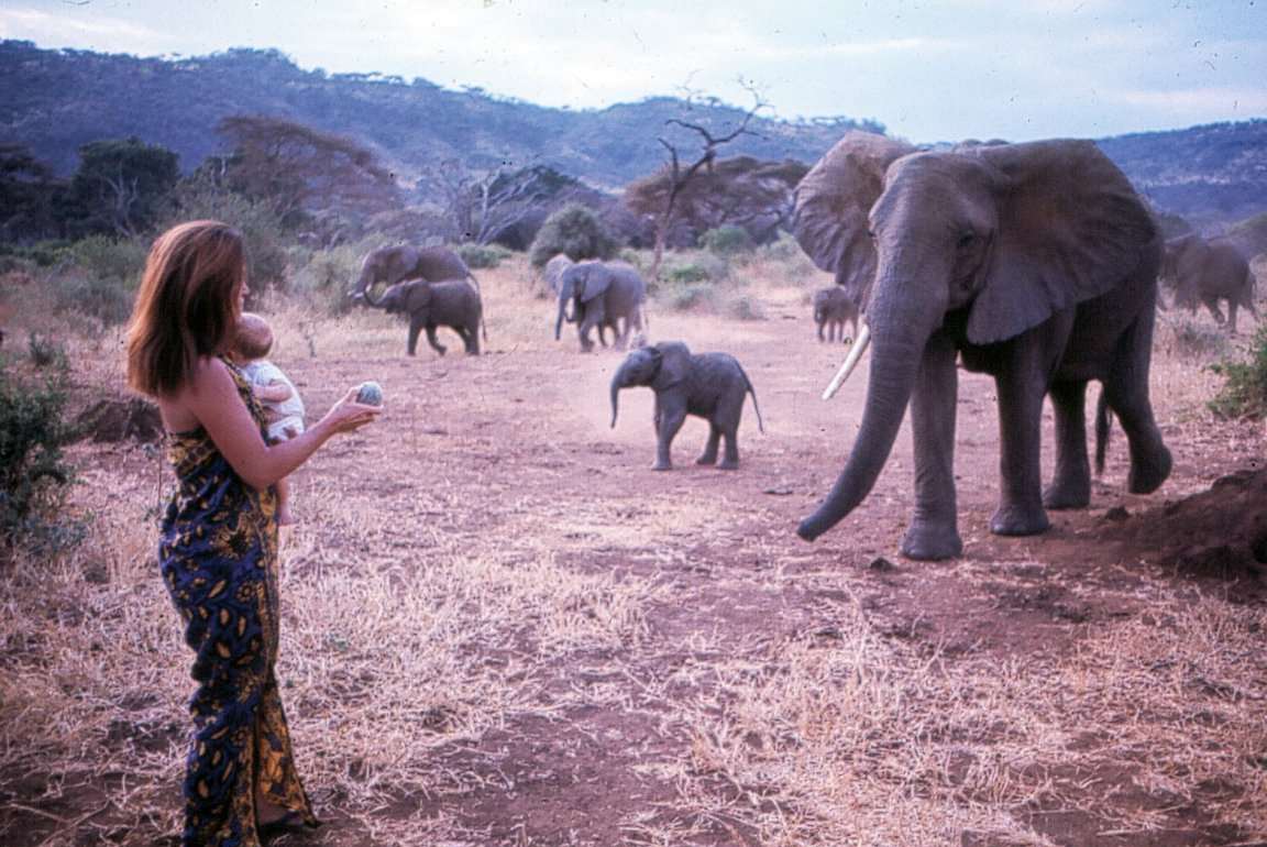 Saba Douglas-Hamilton is bringing up her children around elephants