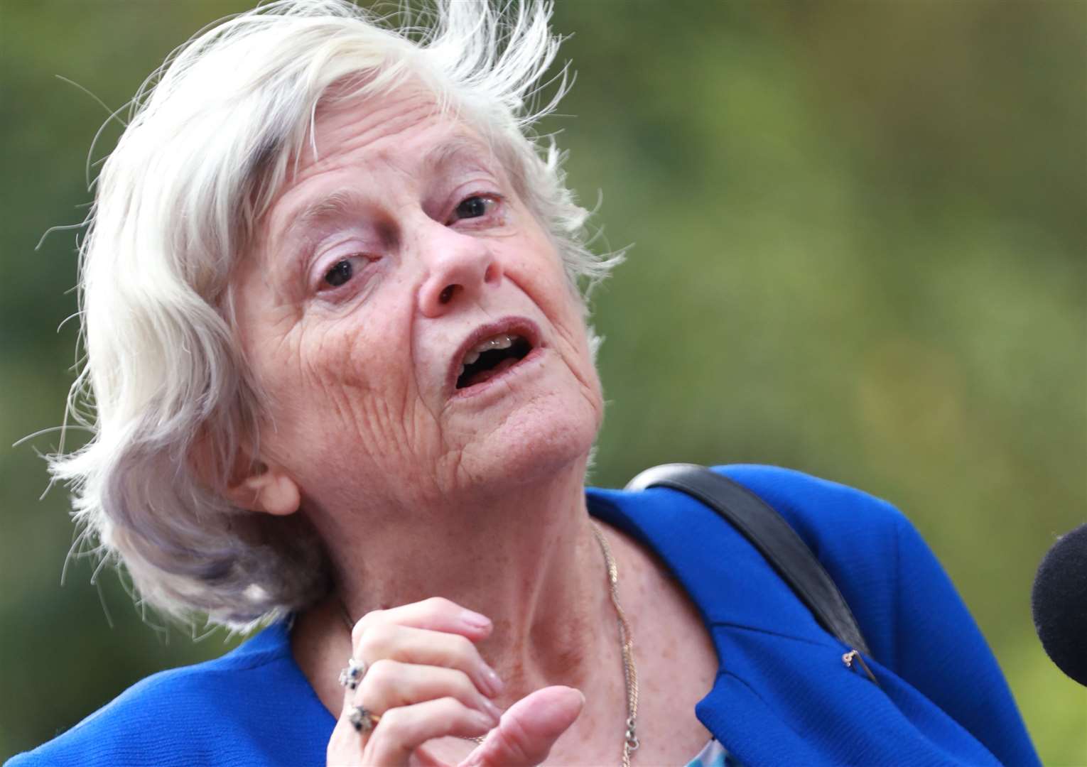 Ann Widdecombe, politician-turned-celebrity