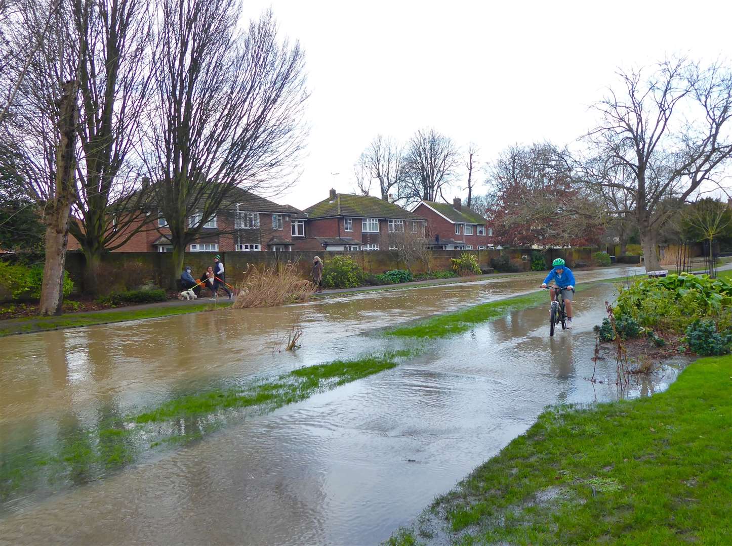 Flooding in Westgate Gardens, Canterbury, in December