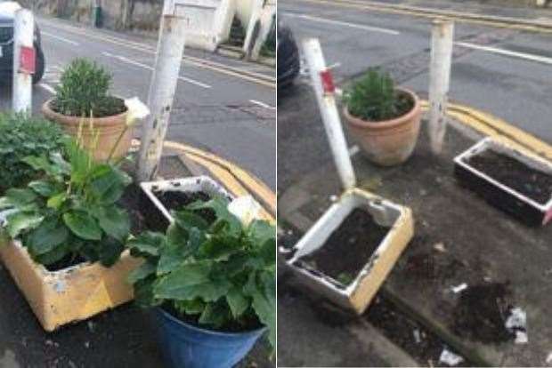 The plant pots were stolen within 24 hours