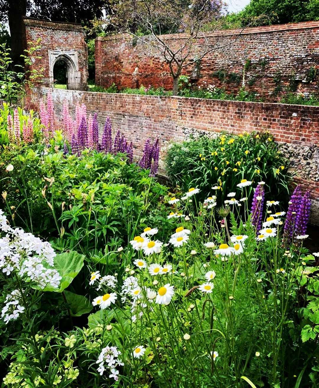 The Franciscan Gardens in Canterbury will hopefully open in 2025