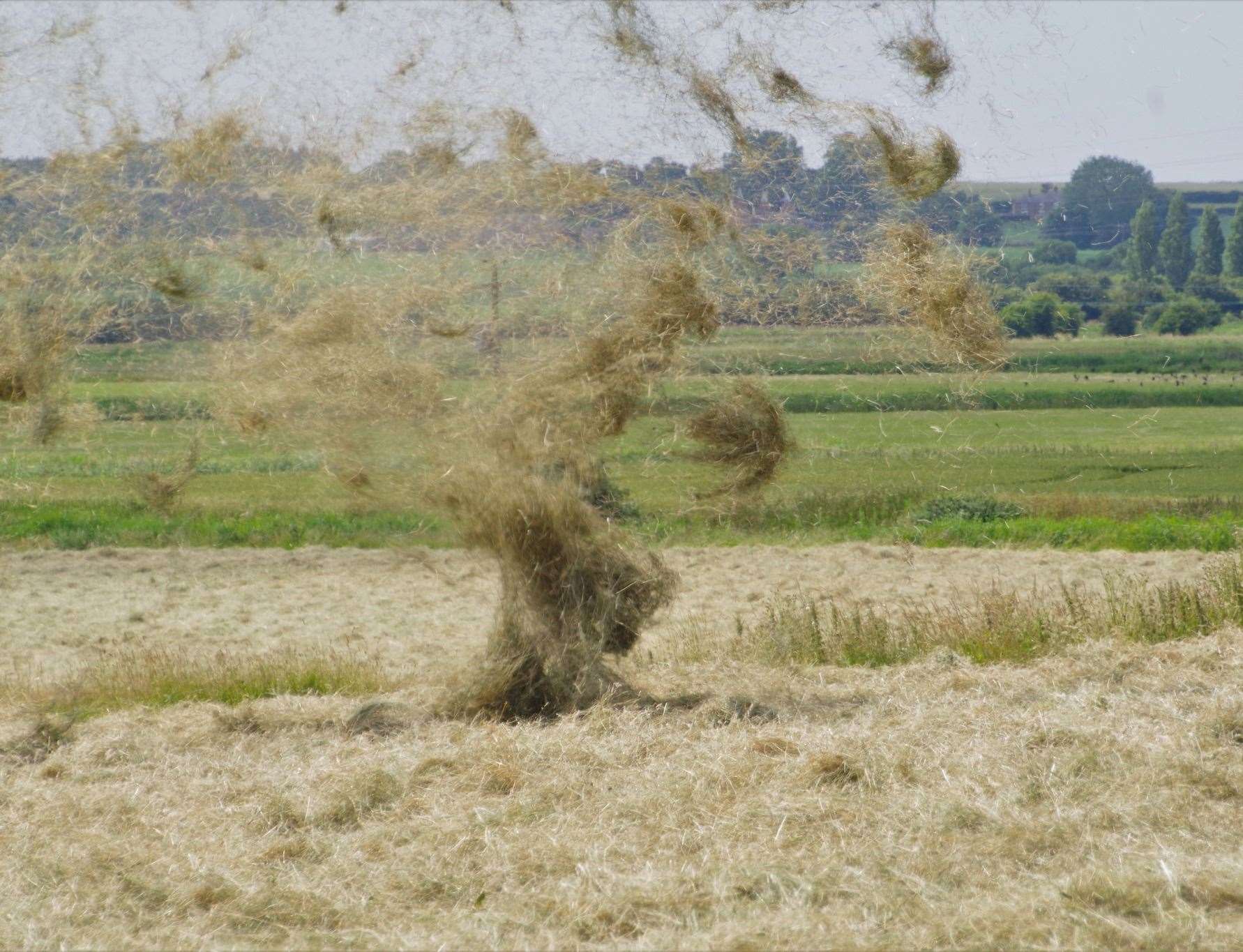 Grass was thrown into the air by a dust devil near Sandwich. Picture: Andy Vilday