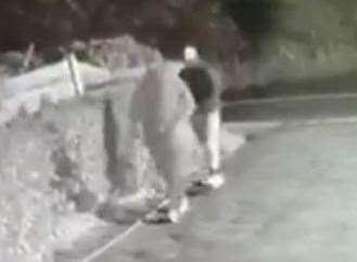 Two thieves were caught on camera after dogs were stolen in East Farleigh