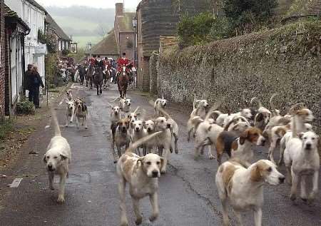 Members of the East Kent Hunt set off from Elham Village Square. Picture: GERRY WHITTAKER